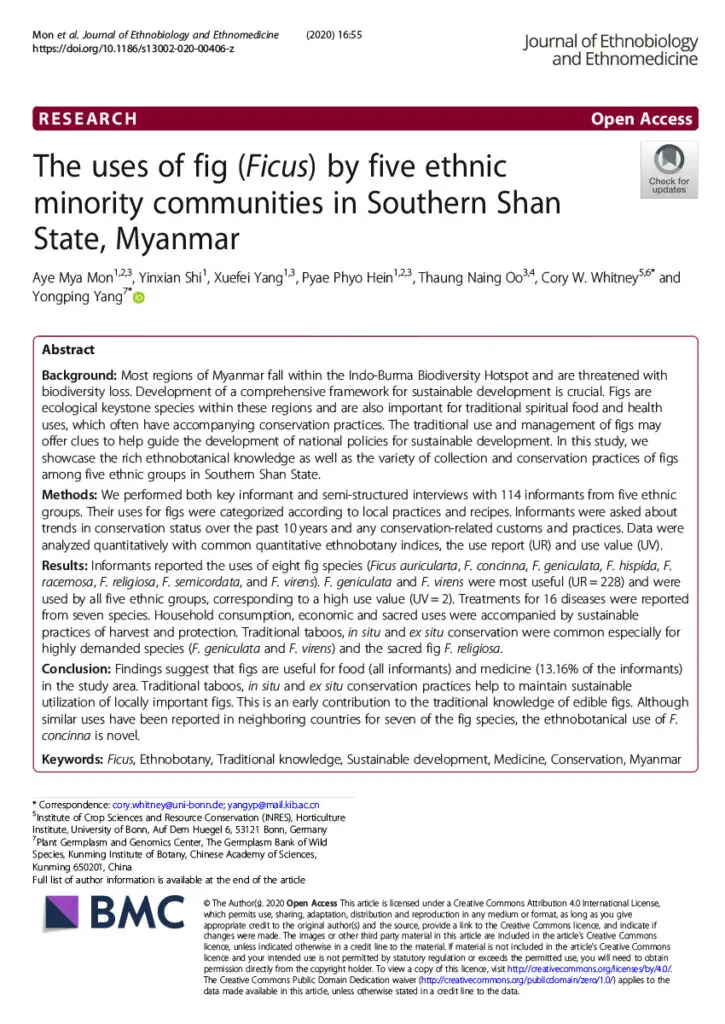The uses of fig Ficus by five ethnic minority communities in Southern Shan State Myanmar