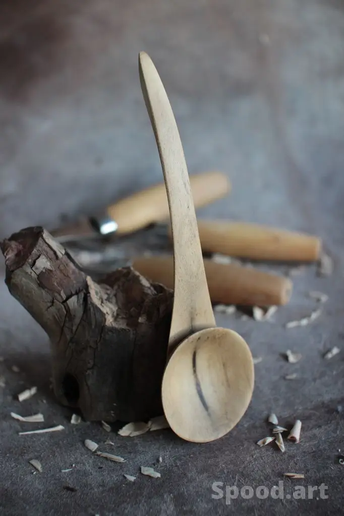 Cuillère sculptée dans le bois d'une liane de Lierre grimpant (Hedera helix)