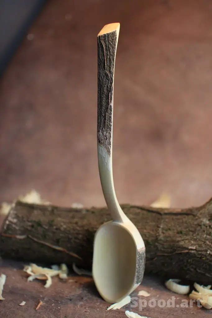 Cuillère sculptée en bois d'arbuste de Fusain d'Europe (Euonymus europaeus)